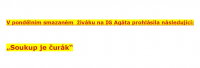 agyta-soukup.png